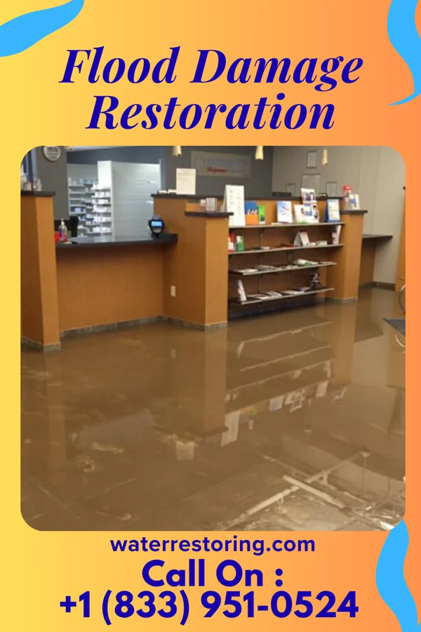Flood Damage Restoration in Ortonville, MI