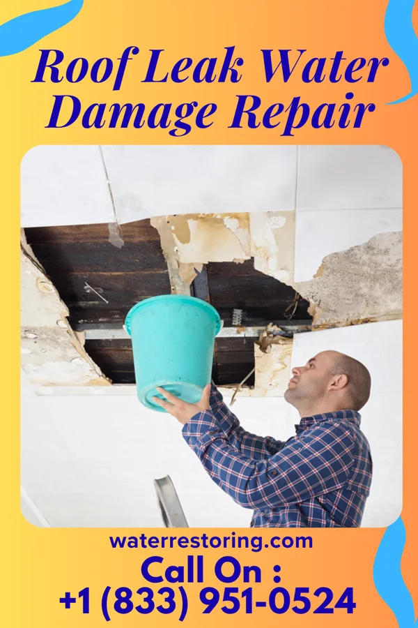 Roof Leak Water Damage Repair in Ortonville, MI