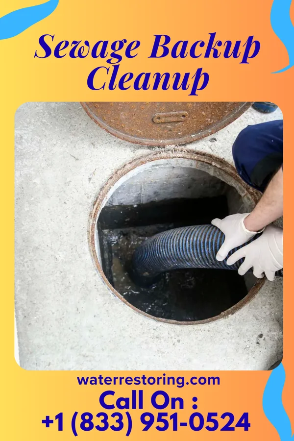 Sewage Backup Cleanup in Ortonville, MI